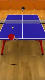 Virtual Table Tennis capture 1