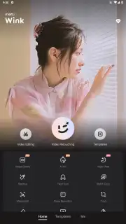 Wink capture 18