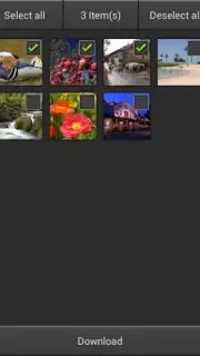 wmu capture 3