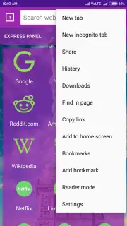 usa web browser capture 2