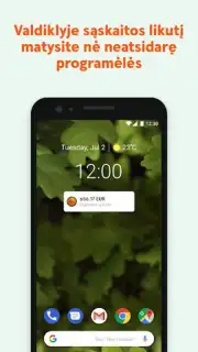 Swedbank capture 4