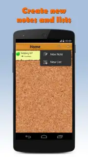 Note Droid capture 6