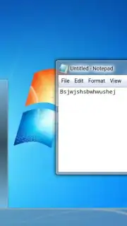 Win7 Simu capture 6