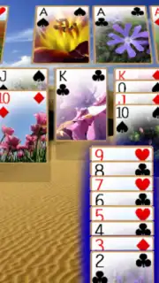 Solitaire 3D capture 5