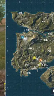 Game for Peace capture 11