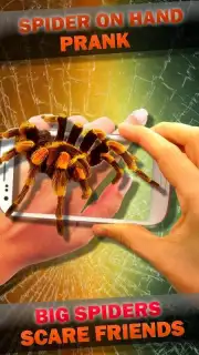 Паук в Камере Пранк capture 2