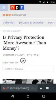 Krypton Anonymous Browser capture 4