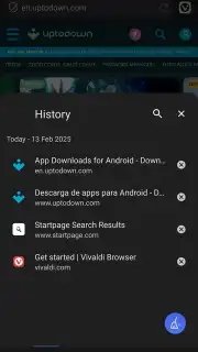Vivaldi capture 4