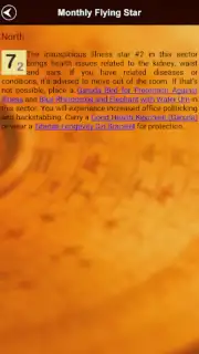 Feng Shui Compass capture 7