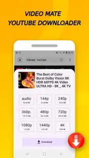 Vidora YouTube Downloader | free & fast capture 2