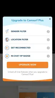 Camsurf capture 5