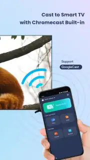 PigeonCast - TV Cast & Mirror capture 4