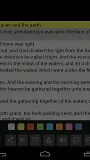 Bible Offline KJV with Audio capture 13