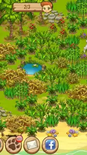 Island Experiment capture 4