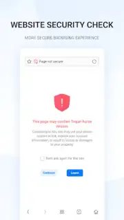 Internet Browser capture 2