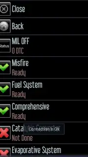 Car Gauge Lite OBD2 capture 10