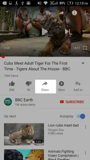 YouTube Download capture 3