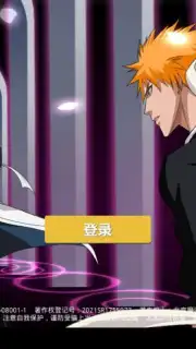 Bleach Realm: Soul Slayer capture 1