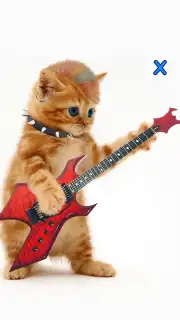 Talking, Dancing Cat. capture 3