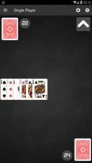 Salami Card Game capture 3