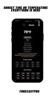 ForecastPro capture 2