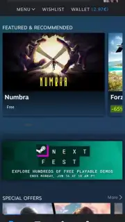 Steam capture 2