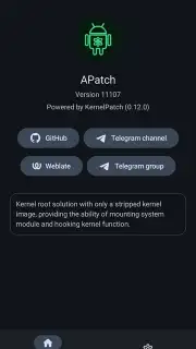 APatch capture 10