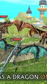 Dragon Sim capture 5