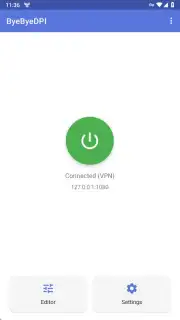 ByeByeDPI capture 5