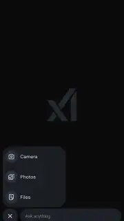 Grok capture 4