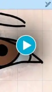 HandWrite Pro capture 1