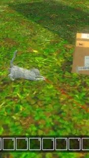 Animal Shelter Pet World Life capture 1