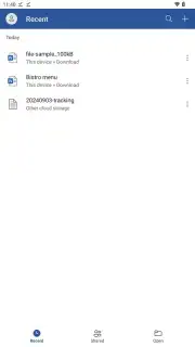 Microsoft Word capture 1