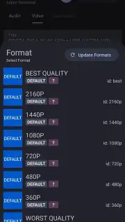 YTDLnis capture 17