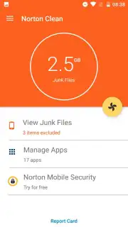 Norton Clean capture 2