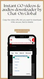 Instant GO videos & audios downloader capture 3