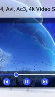 3GP MP4 AVI Video Player capture 4