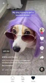 Downloader for TikTok capture 2
