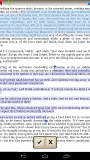 Ebook Reader capture 14