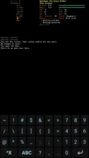 Dungeon Crawl: Stone Soup capture 6