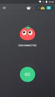 VPN Tomato capture 9