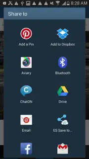 Screen Grabber capture 2