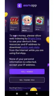 Earnapp capture 2