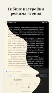 Bookmate. Books & Audiobooks capture 6