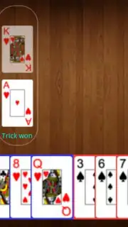 Live Spades Pro capture 2