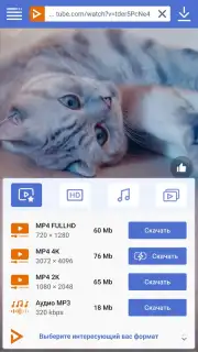 UDL App capture 4