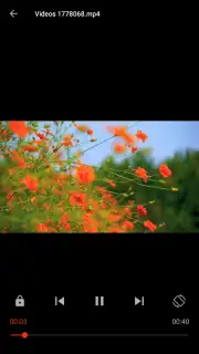Video Player capture 4