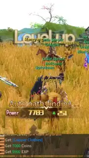 Silkroad Online capture 2