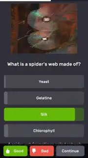 QuizzLand capture 2
