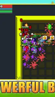 Rucoy 2 - Mirror World capture 6